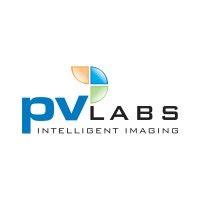 pv labs logo image