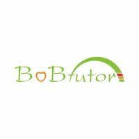 bobtutor logo image