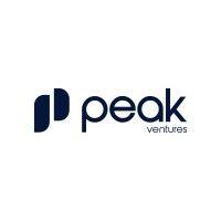 peak ventures logo image