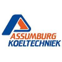 assumburg koeltechniek logo image