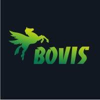 groupe bovis logo image