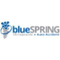 blue spring chiropractic logo image