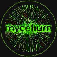 mycelium ecology logo image