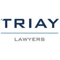 triay lawyers logo image