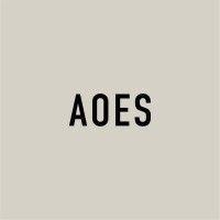 amanda o'rourke executive search | aoes logo image