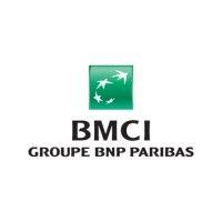 bmci groupe bnp paribas logo image