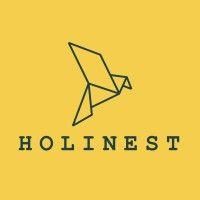 holinest logo image