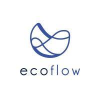 ecoflow logo image