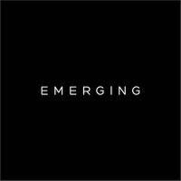 emerging logo image