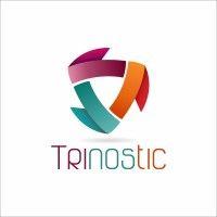 trinostic technosol llp logo image