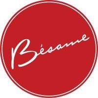 bésame cosmetics, inc. logo image