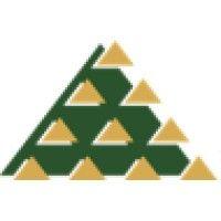 triangle equities logo image