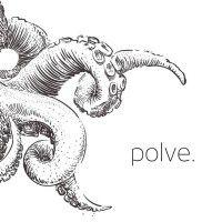 polve ag logo image