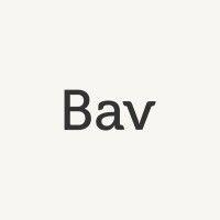 bavpublicidad logo image