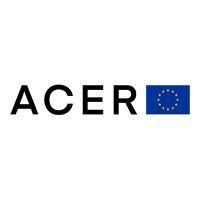 eu agency for the cooperation of energy regulators (acer) logo image