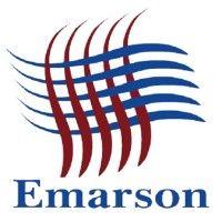 emarson infotech pvt ltd logo image