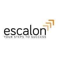 escalon business services priv limited logo image