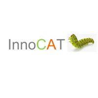 innocat ltd logo image