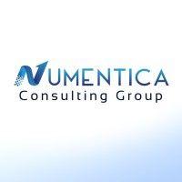 numentica consulting group logo image