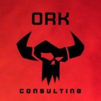 ork consulting logo image