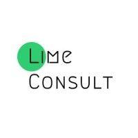 lime startup consulting logo image