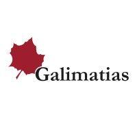 galimatias concept oy ab logo image