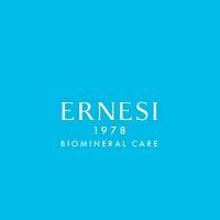 ernesi 1978 logo image