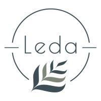 leda chartered professional accountants inc.