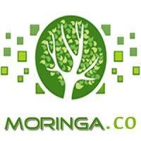 moringa.co logo image