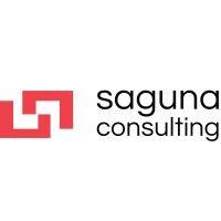 saguna consulting services llc