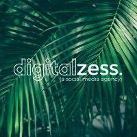 digital zess logo image