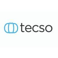 distribuidora tecso sa de cv logo image