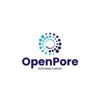 openpore technologies private limited logo image