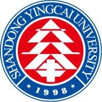 shandong yingcai university