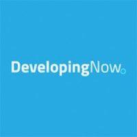 developingnow, inc. logo image