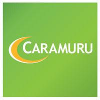 caramuru alimentos s.a.