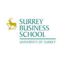 department of business analytics and operations, university of surrey