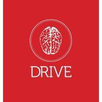 drive 101 logo image