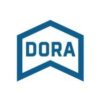 devops research and assessment (dora)