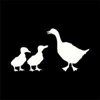 duck duck goose logo image