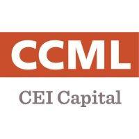 cei capital management llc logo image