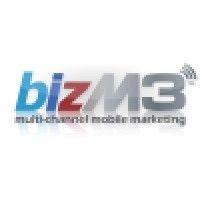 bizm3.com logo image