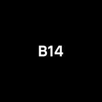 b14 aps logo image