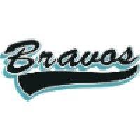 bravos de margarita baseball club logo image