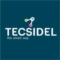 tecsidel its