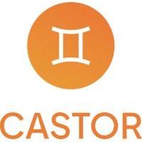 castor development outsourcing