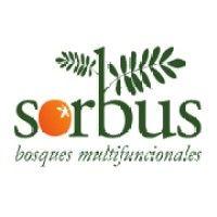 sorbus bosques multifuncionales s.l. logo image