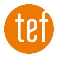 tef design logo image