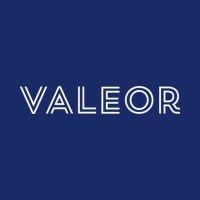 groupe valeor logo image