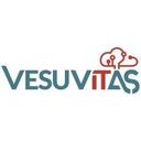 logo of Vesuvitas